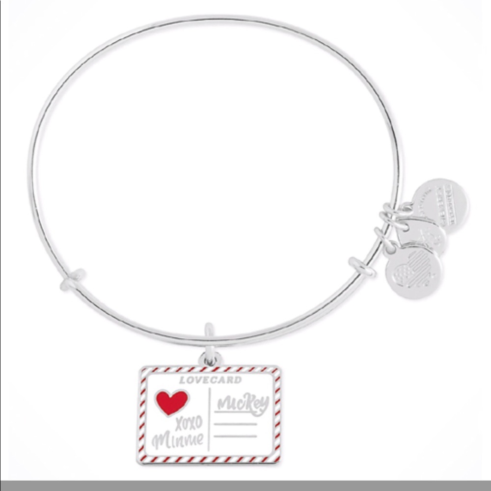 Anthony and Ani Disney love letter bracelet.